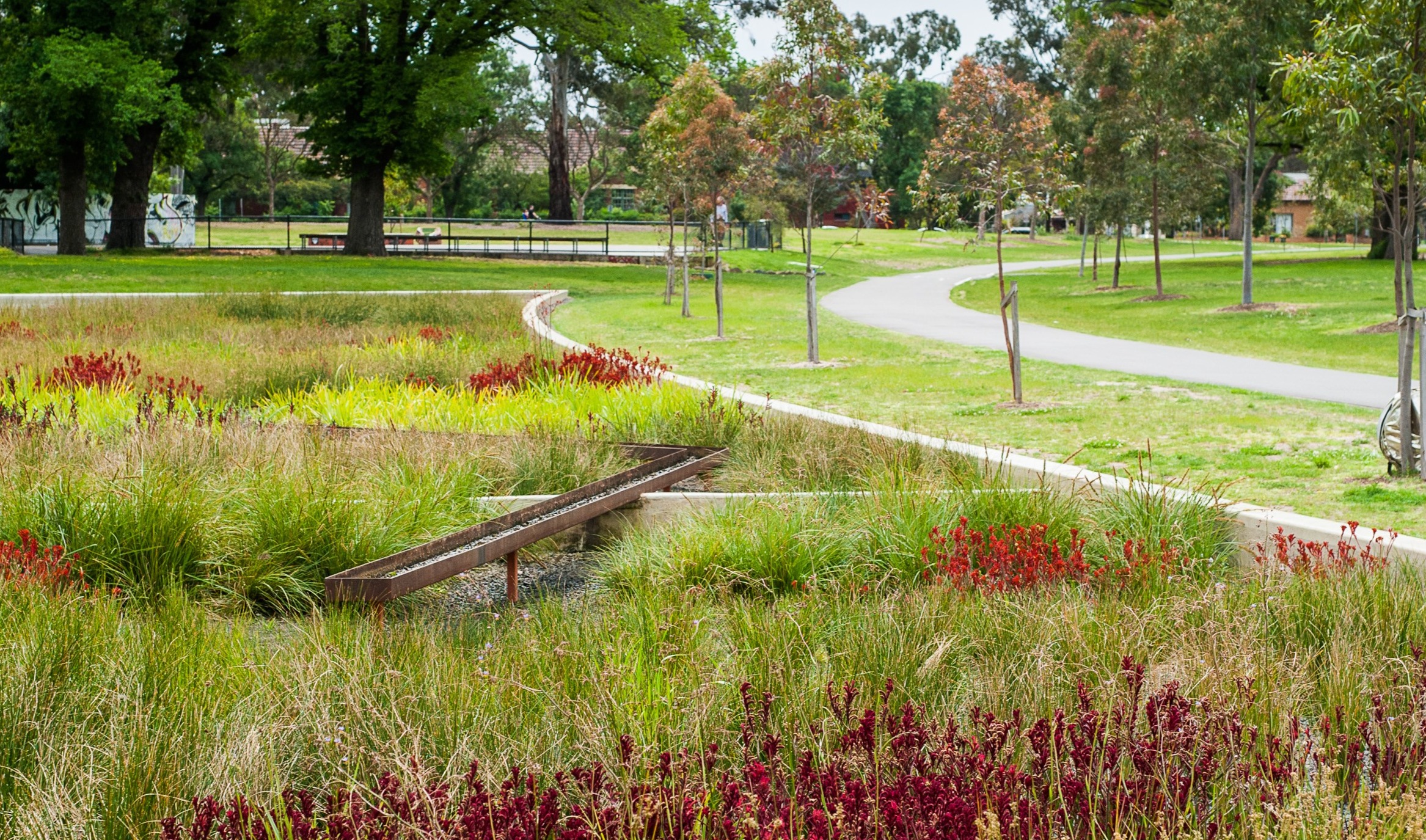 A park with pathways surrounded by wild grass.